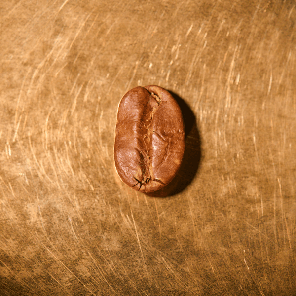 Photo of Indien Monsooned | French Press | 250g | Coffeum